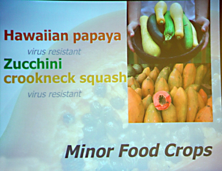 minor food crops.jpg