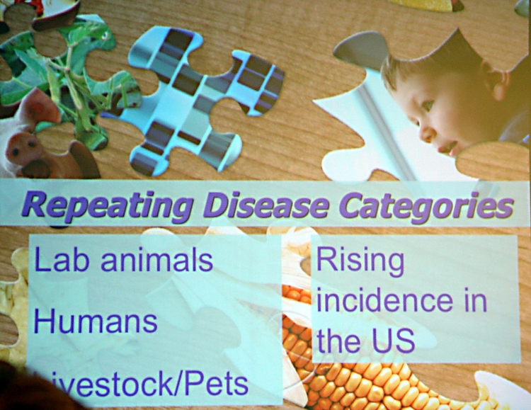 repeatring disease categories.jpg